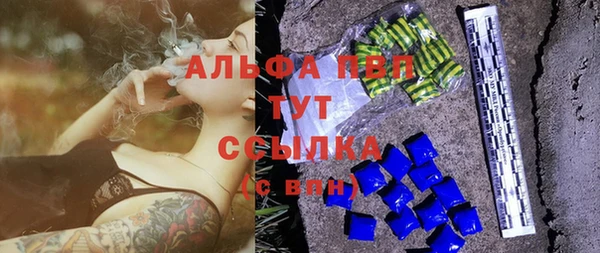 индика Видное