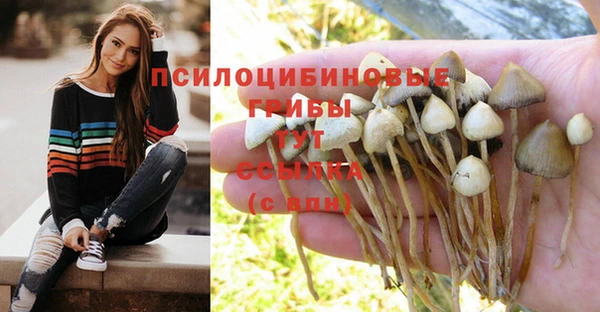 скорость Весьегонск