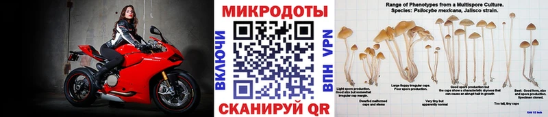 Галлюциногенные грибы Magic Shrooms Зверево